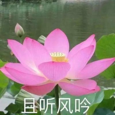 沧元传决战地下城游戏
