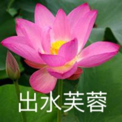 金刚之印最新版下载